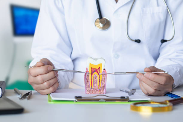 Best Emergency Root Canal Treatment in Grafton, ND
